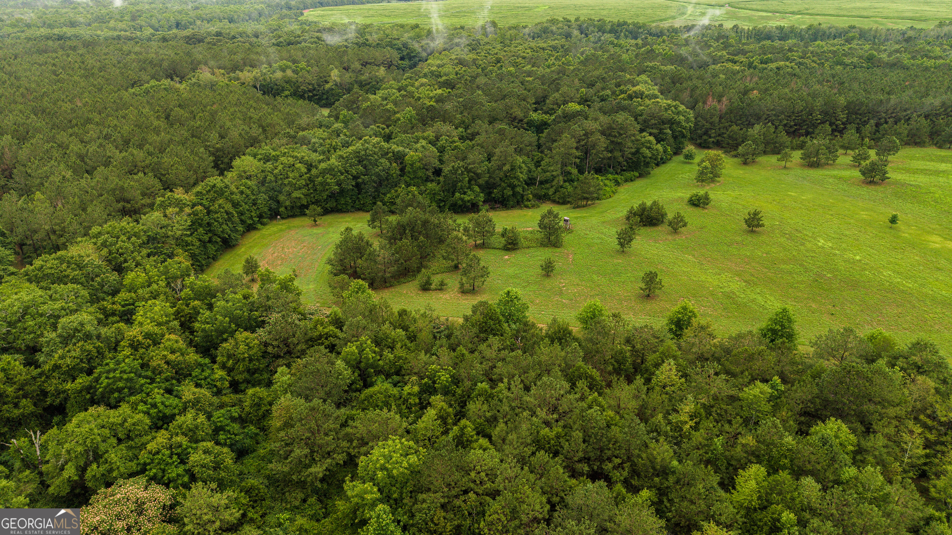 990 Highway 49 Americus, GA 31719 - Photo 103 of 121