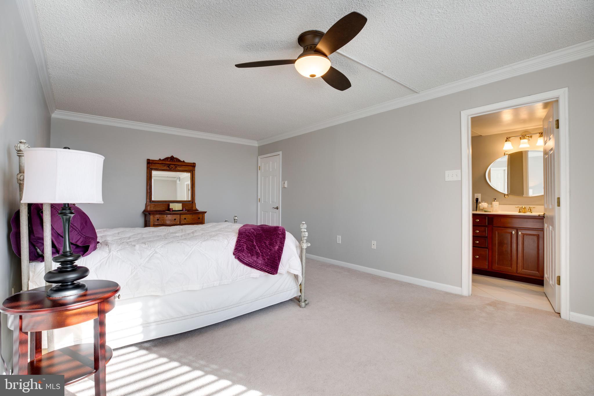 1515 South Arlington Ridge Road, Unit 602 Arlington, VA 22202 - Photo 20 of 37 EXTRA SPACIOUS Master