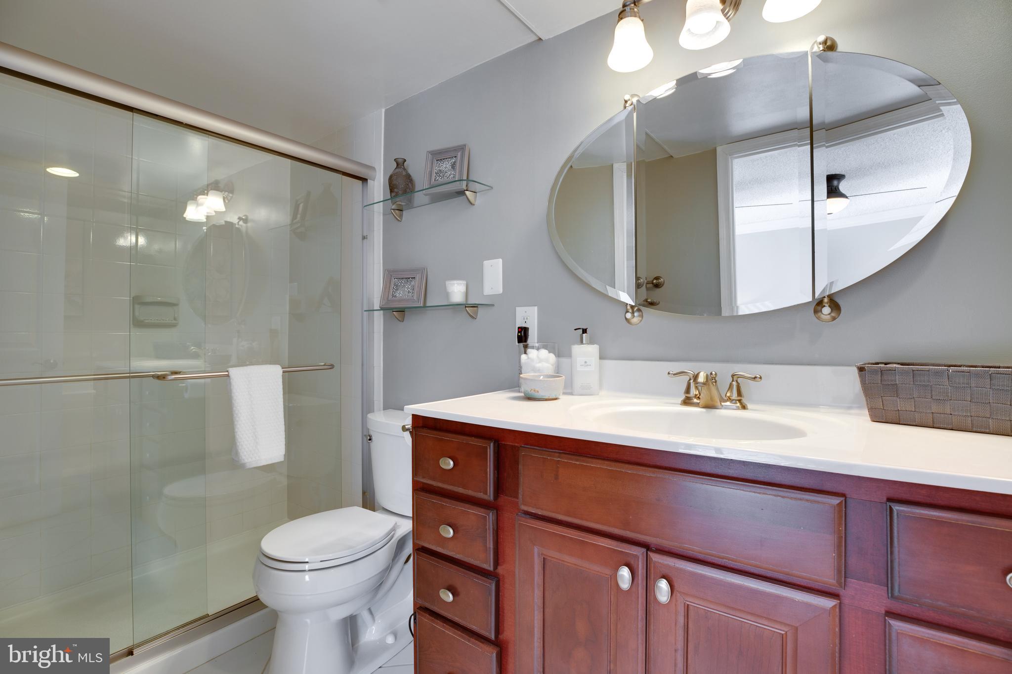 1515 South Arlington Ridge Road, Unit 602 Arlington, VA 22202 - Photo 22 of 37 AWESOME Master Bath
