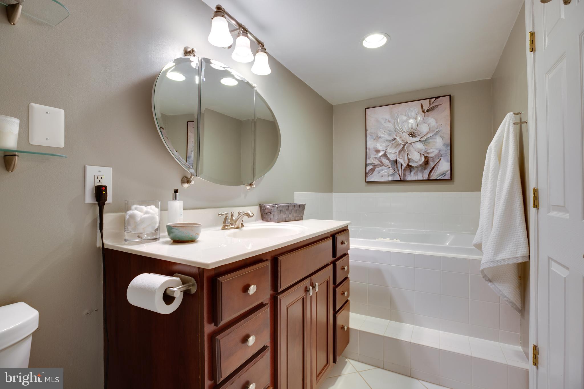 1515 South Arlington Ridge Road, Unit 602 Arlington, VA 22202 - Photo 23 of 37 Jacuzzi tub