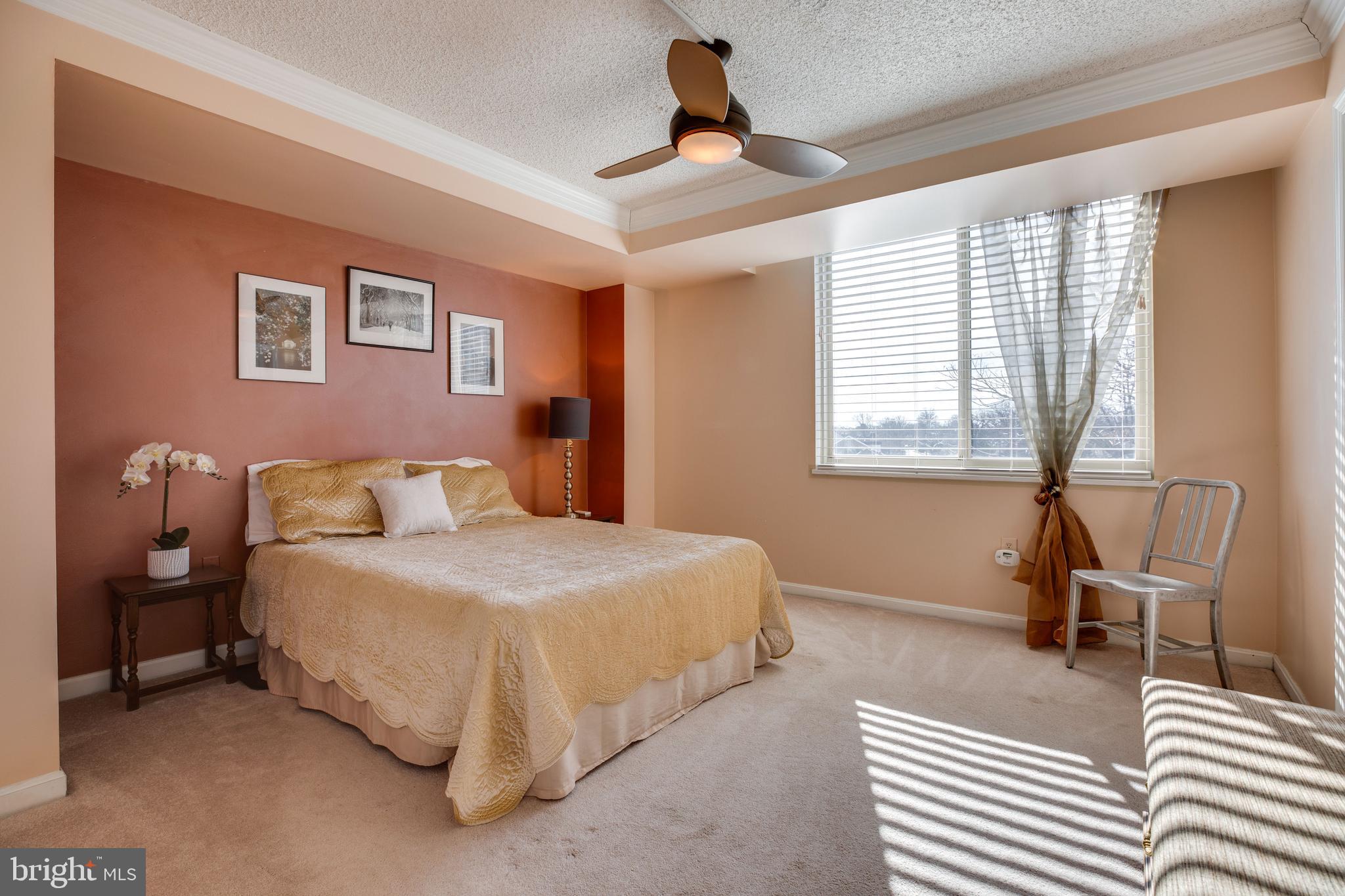 1515 South Arlington Ridge Road, Unit 602 Arlington, VA 22202 - Photo 24 of 37 Spacious Guest BR