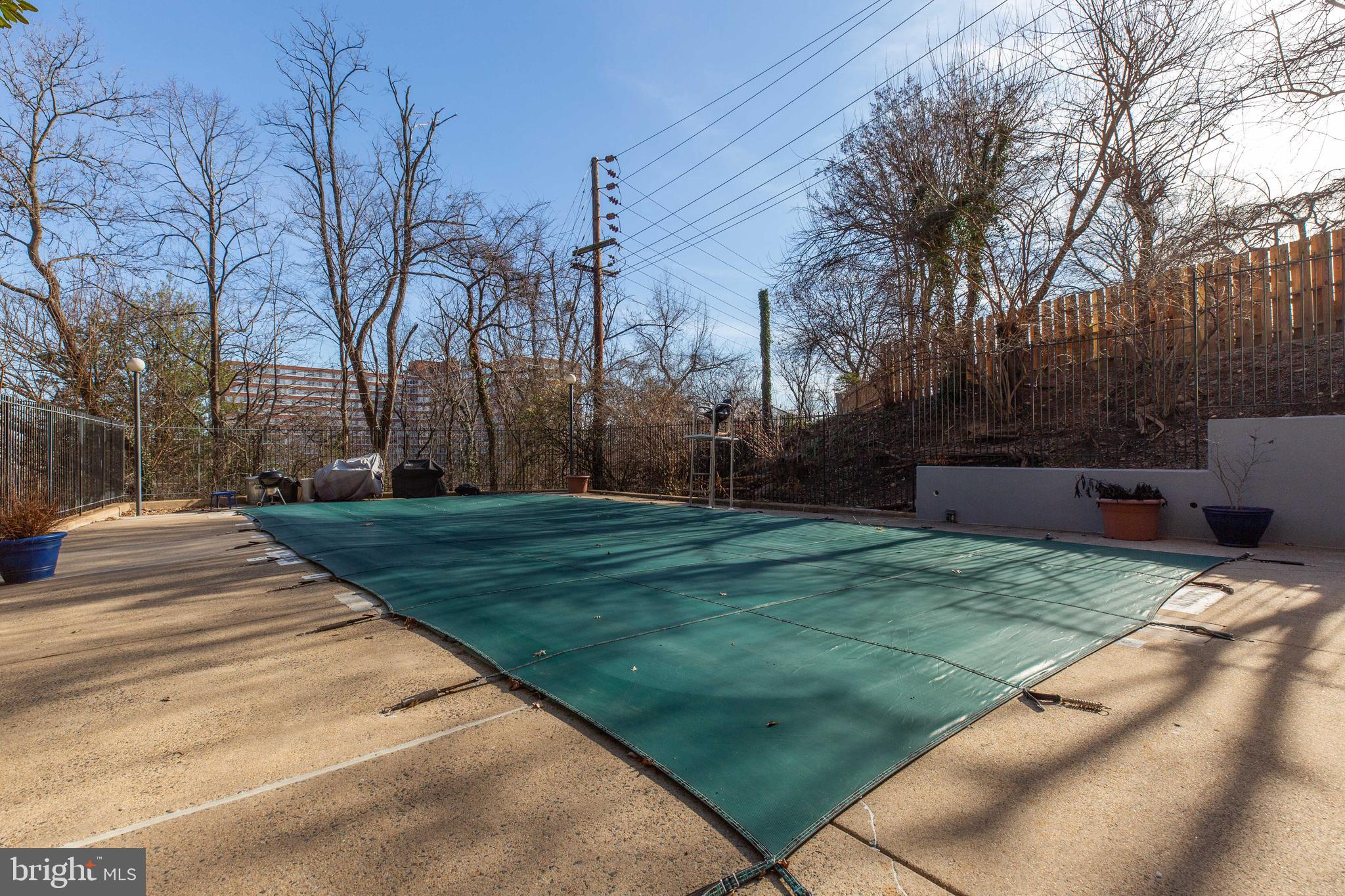1515 South Arlington Ridge Road, Unit 602 Arlington, VA 22202 - Photo 37 of 37 Cook out and swim