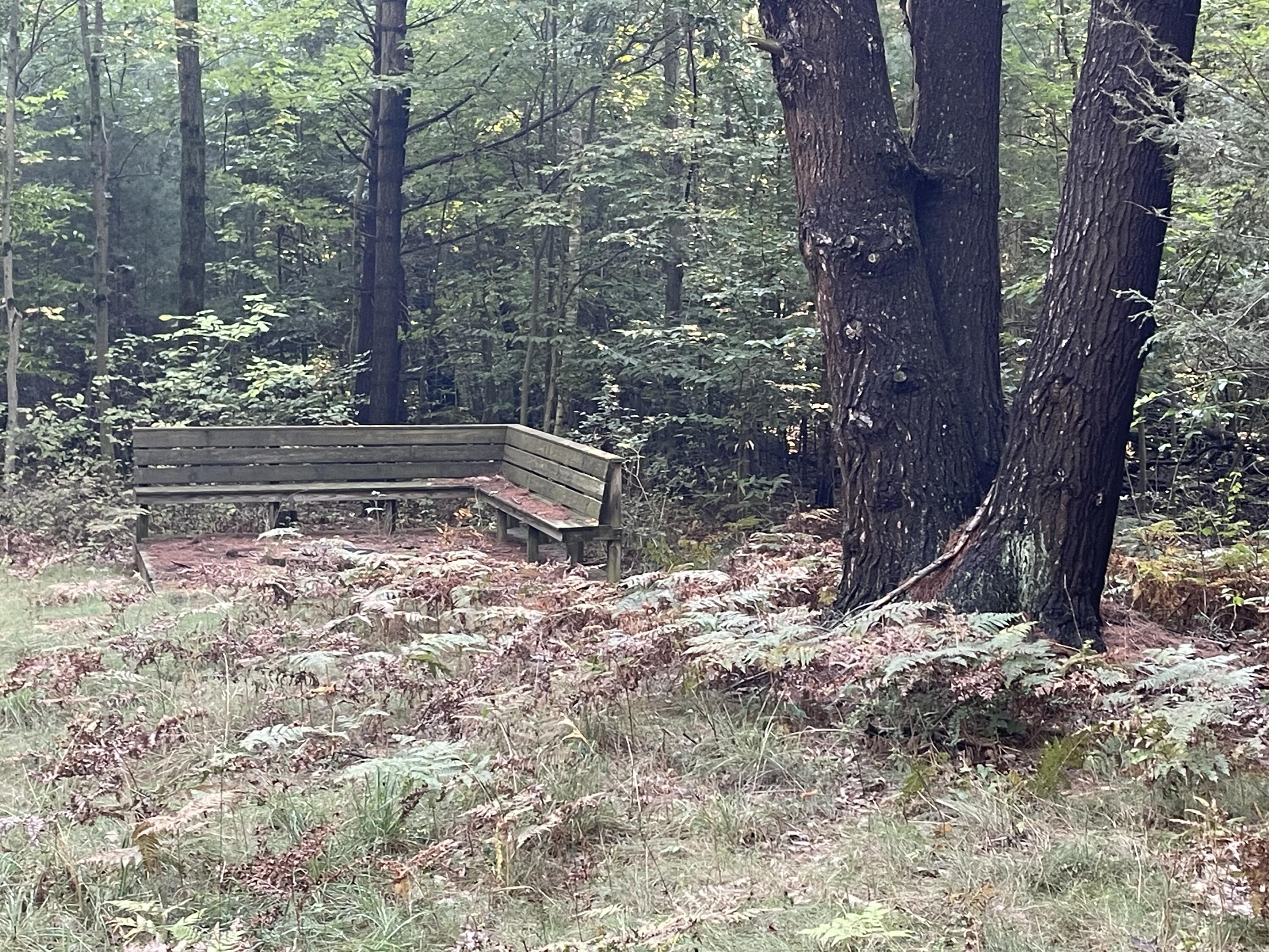 10445 West Woodrow Road Shelby, MI 49455 - Photo 3 of 3 IMG_7865