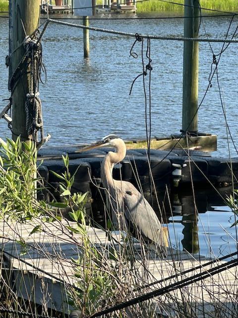 240 Buck Road Santa Rosa Beach, FL 32459 - Photo 5 of 17