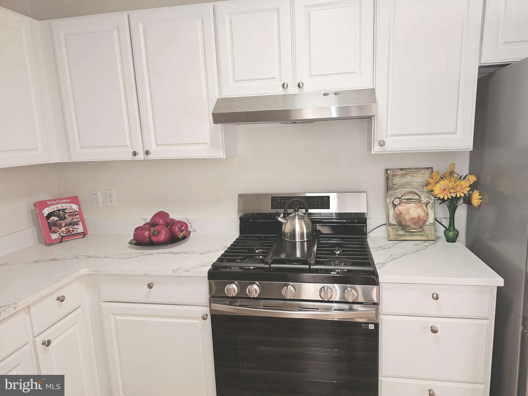 18 Monroe Street, Unit 201 Rockville, MD 20850 - Photo 9 of 28