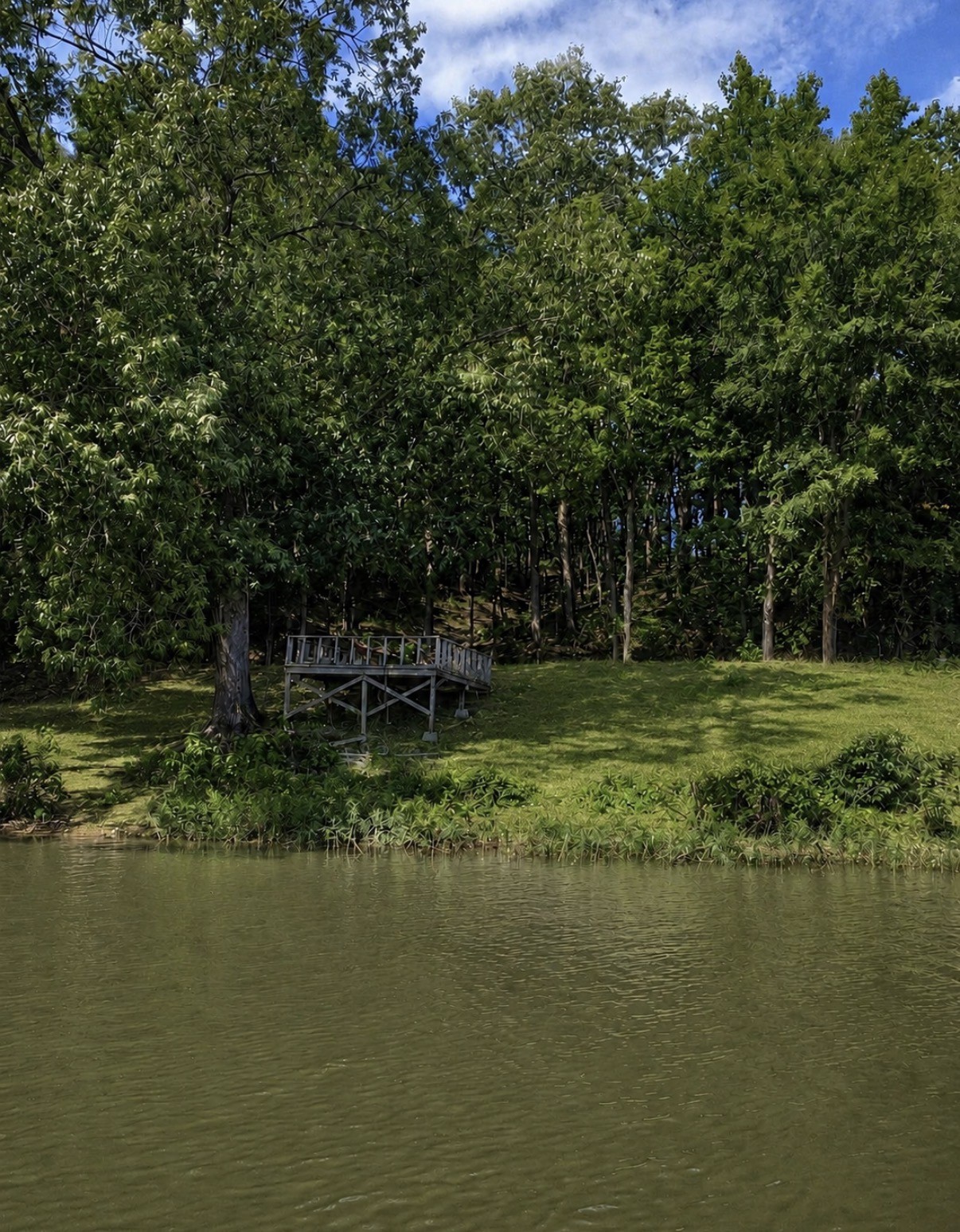 643 Wismer Road Camden, TN 38320 - Photo 9 of 11 Gallery Image 9