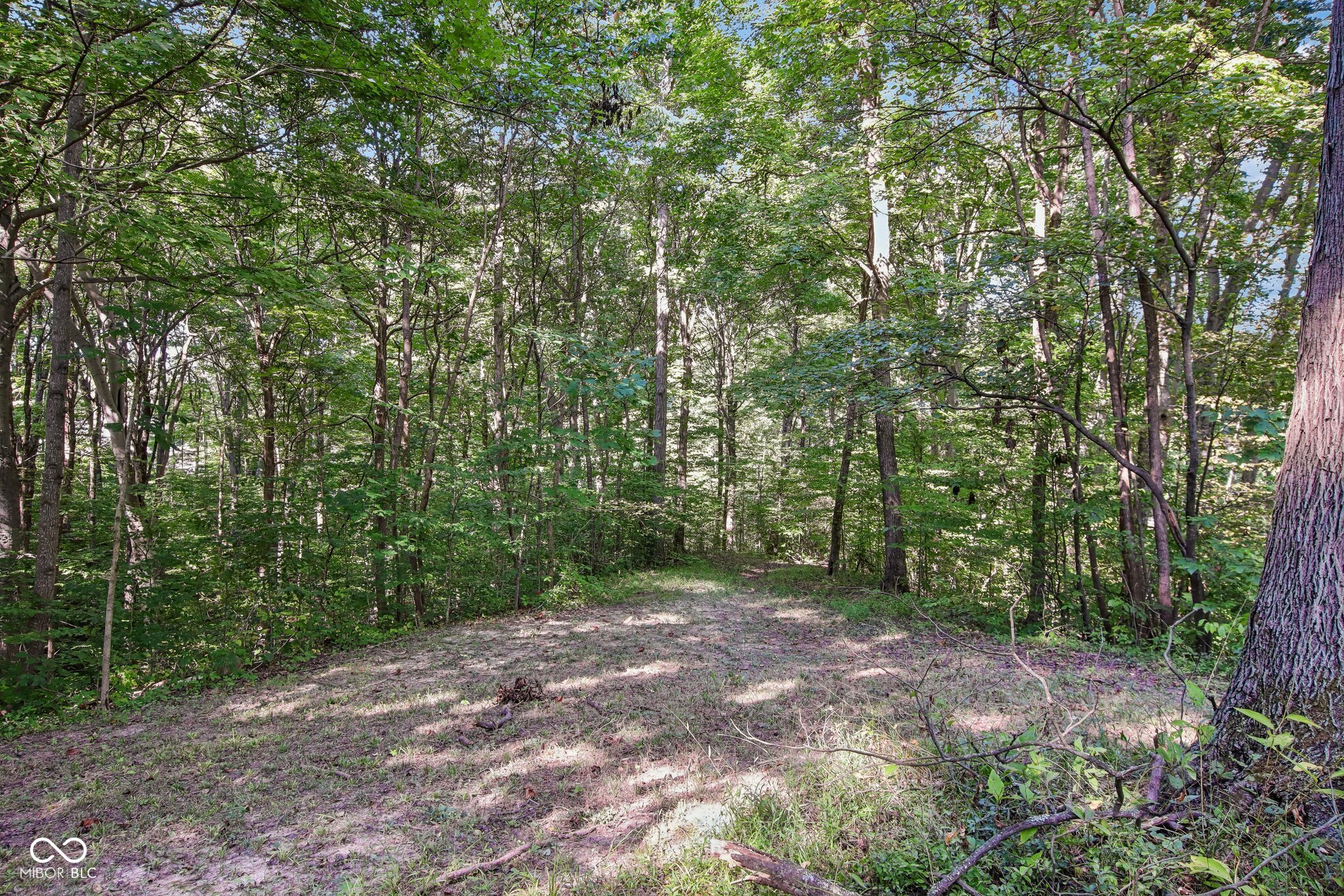 4736 East Mahalasville Road Morgantown, IN 46160 - Photo 43 of 54 Gallery Image 43
