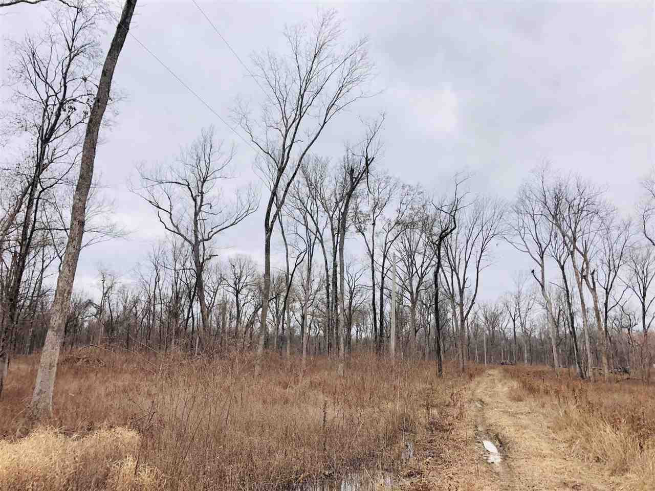 2 Holly Bluff Road, Unit 2 Rolling Fork, MS 39159 - Photo 5 of 7 Photo 5