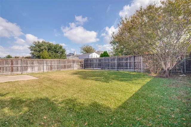 a view of a yard with a large tree