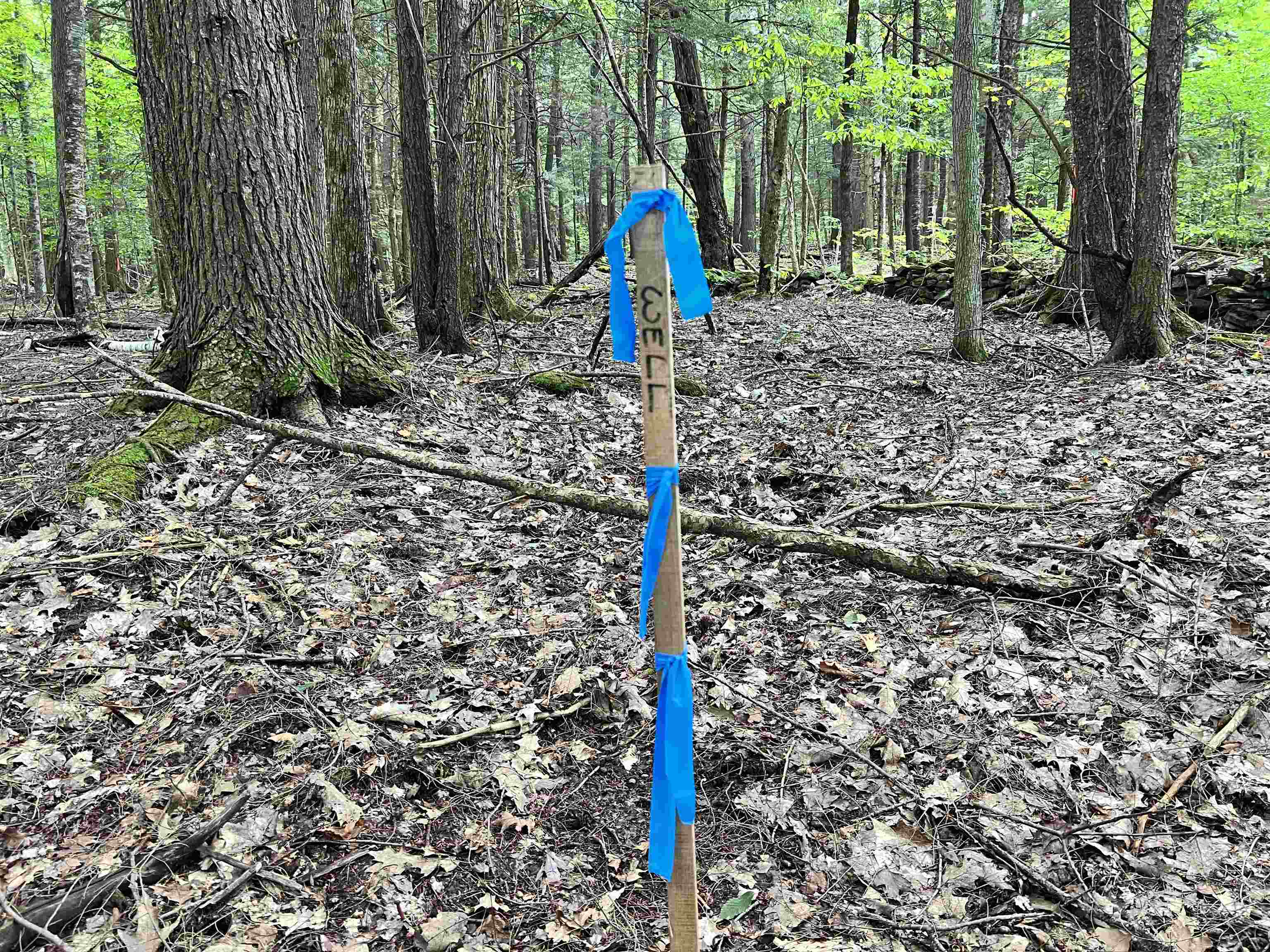 0 Bentley Road, Unit 5434 Quechee, VT 05059 - Photo 3 of 21 Gallery Image 3