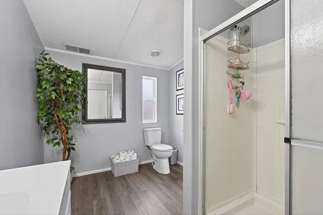 a bathroom with a toilet and a potted plant