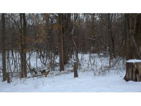 596 Concord Road Gosport, IN 47433 - Photo 7 of 7 Gallery Image 7