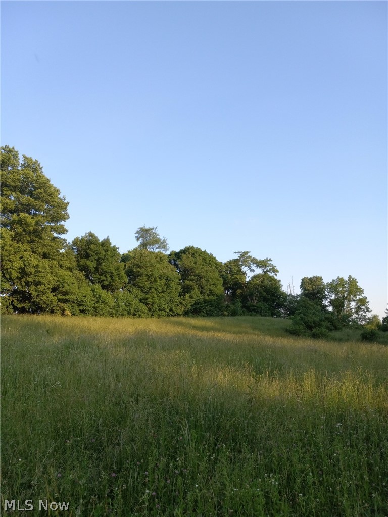 41901 Townsend Road Albany, OH 45710 - Photo 18 of 31