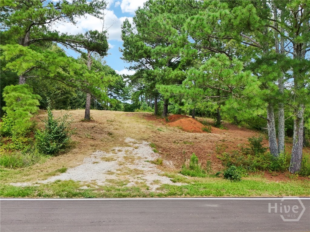 1051 Twin Rivers Road Greensboro, GA 30642 - Photo 38 of 46