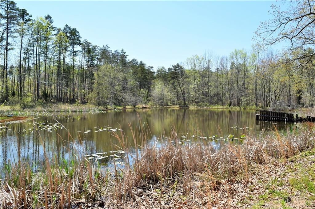 490 K Fork Road Madison, NC 27025 - Photo 14 of 30 Pond