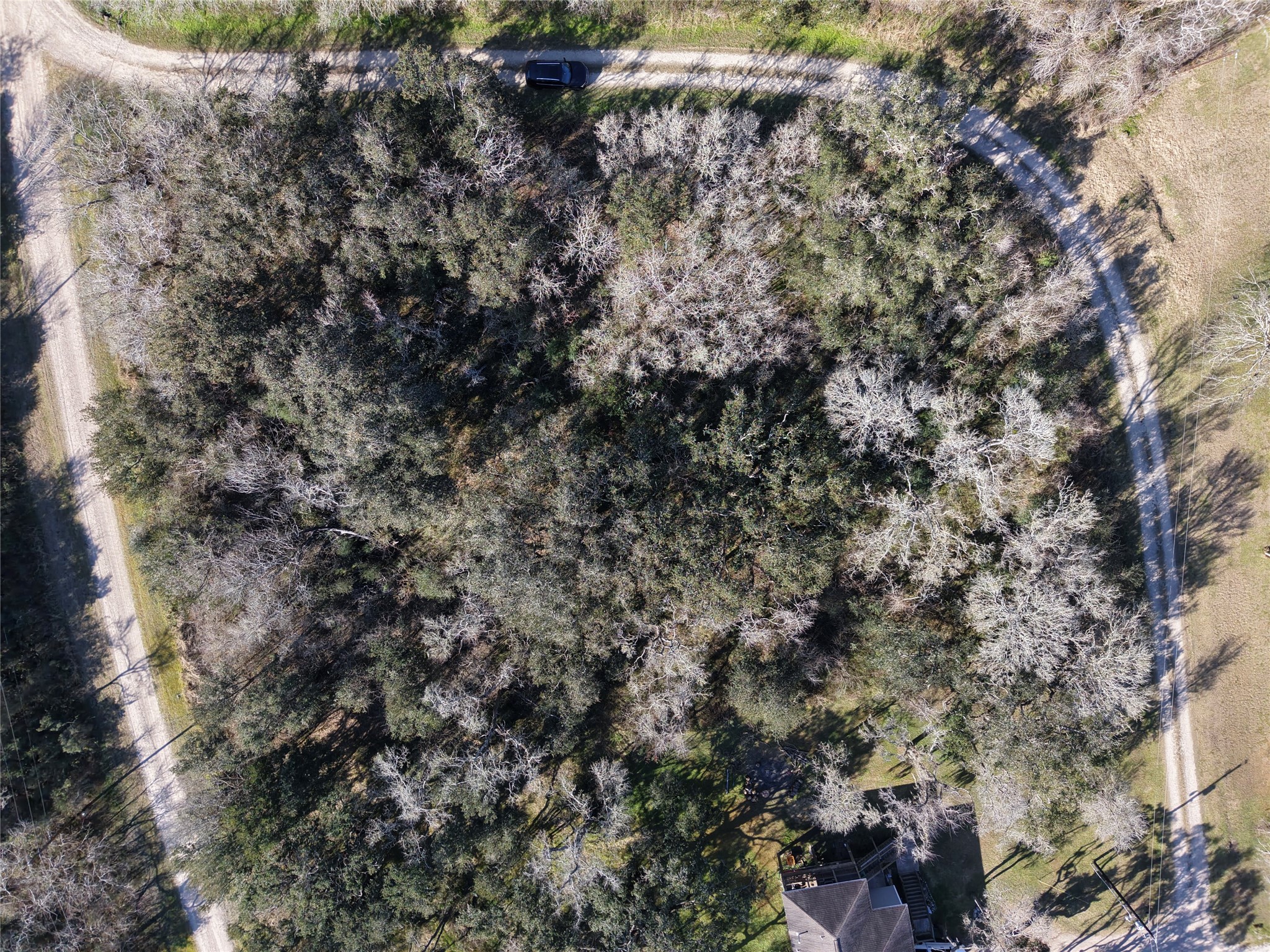 0 Segundo Brazoria, TX 77422 - Photo 3 of 8 a picture of a tree