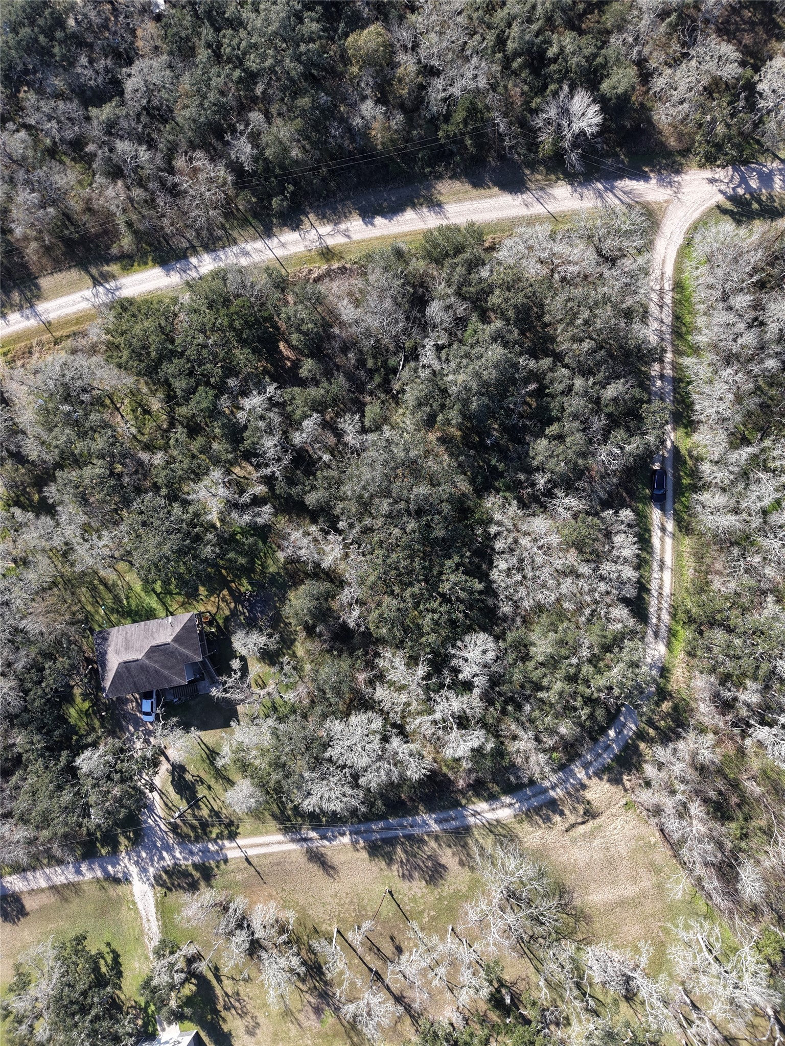 0 Segundo Brazoria, TX 77422 - Photo 4 of 8 a view of a forest with a tree