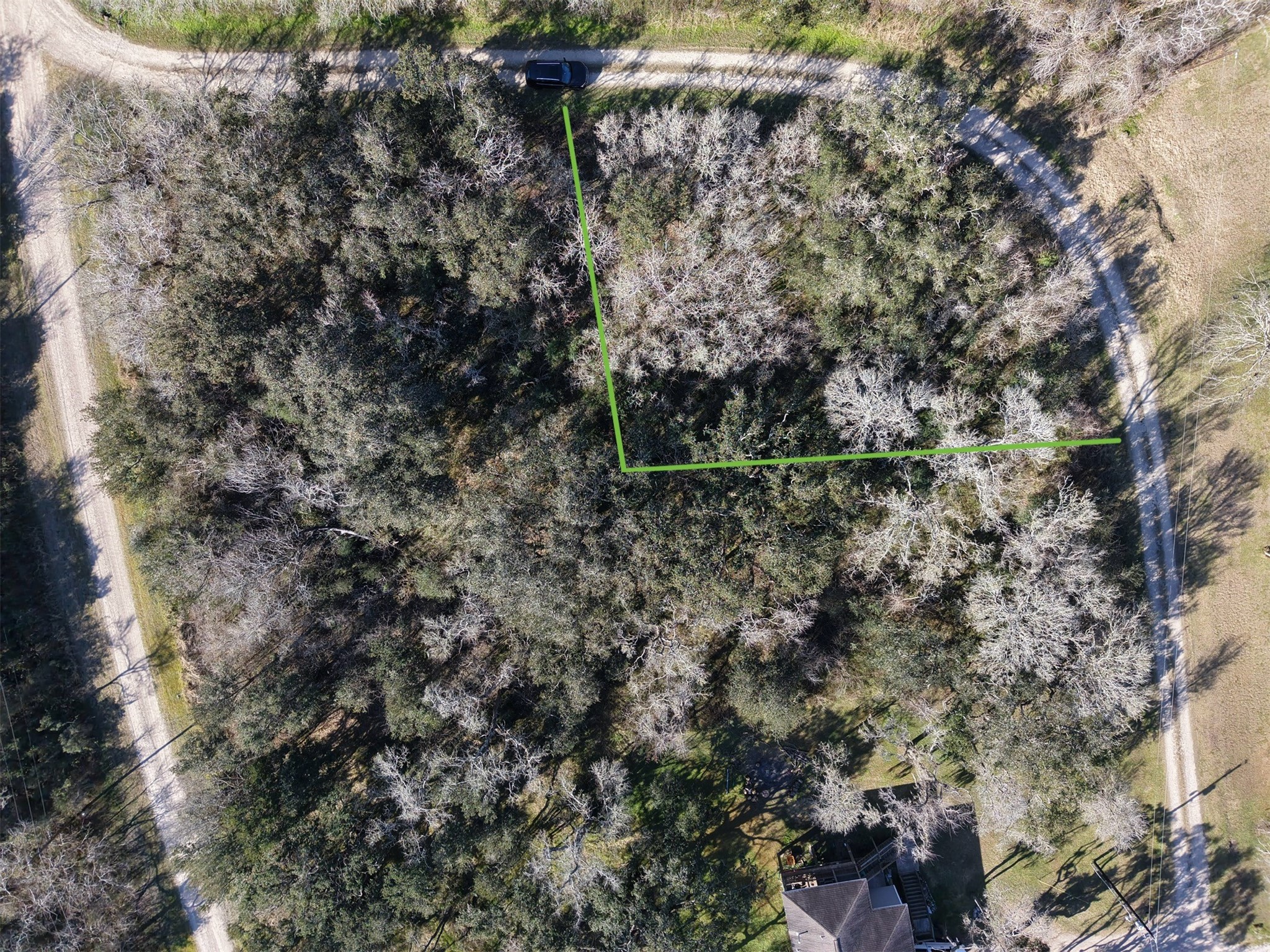 0 Segundo Brazoria, TX 77422 - Photo 6 of 8 a view of a forest with a tree