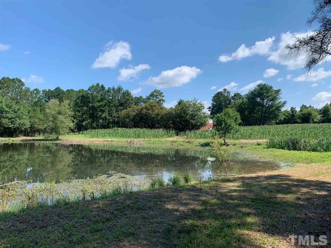 3539 Meadowlark Road Dunn, NC 28334 - Photo 18 of 25 a view of a water pond with green yard