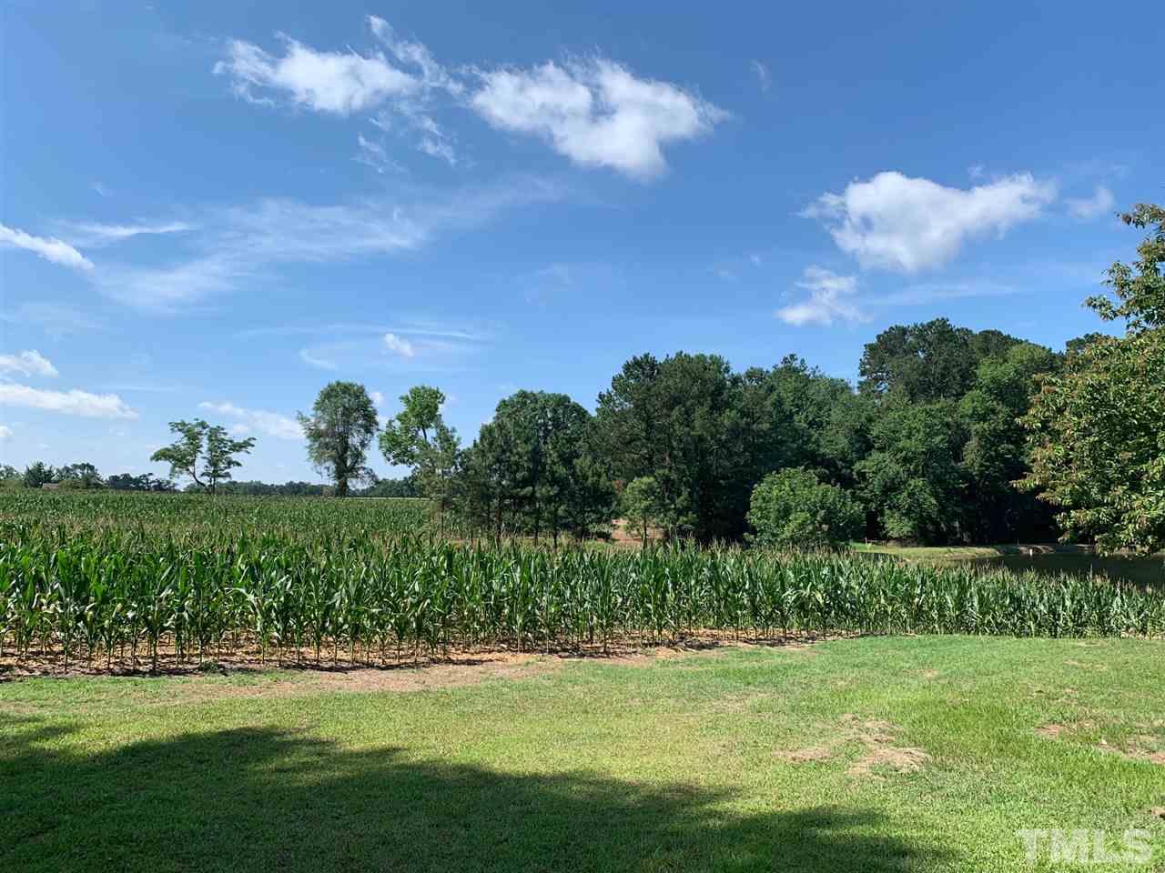 3539 Meadowlark Road Dunn, NC 28334 - Photo 20 of 25 a view of a grassy field with an trees