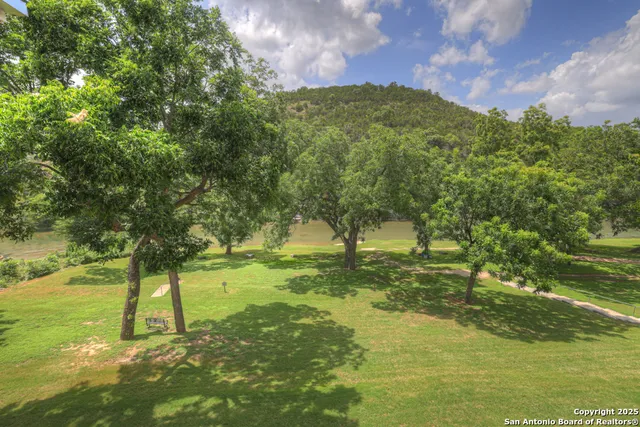 a view of a yard with a tree