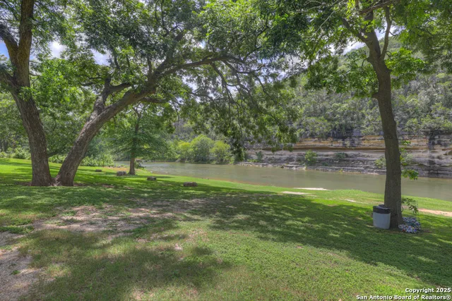 a view of a trees with a yard