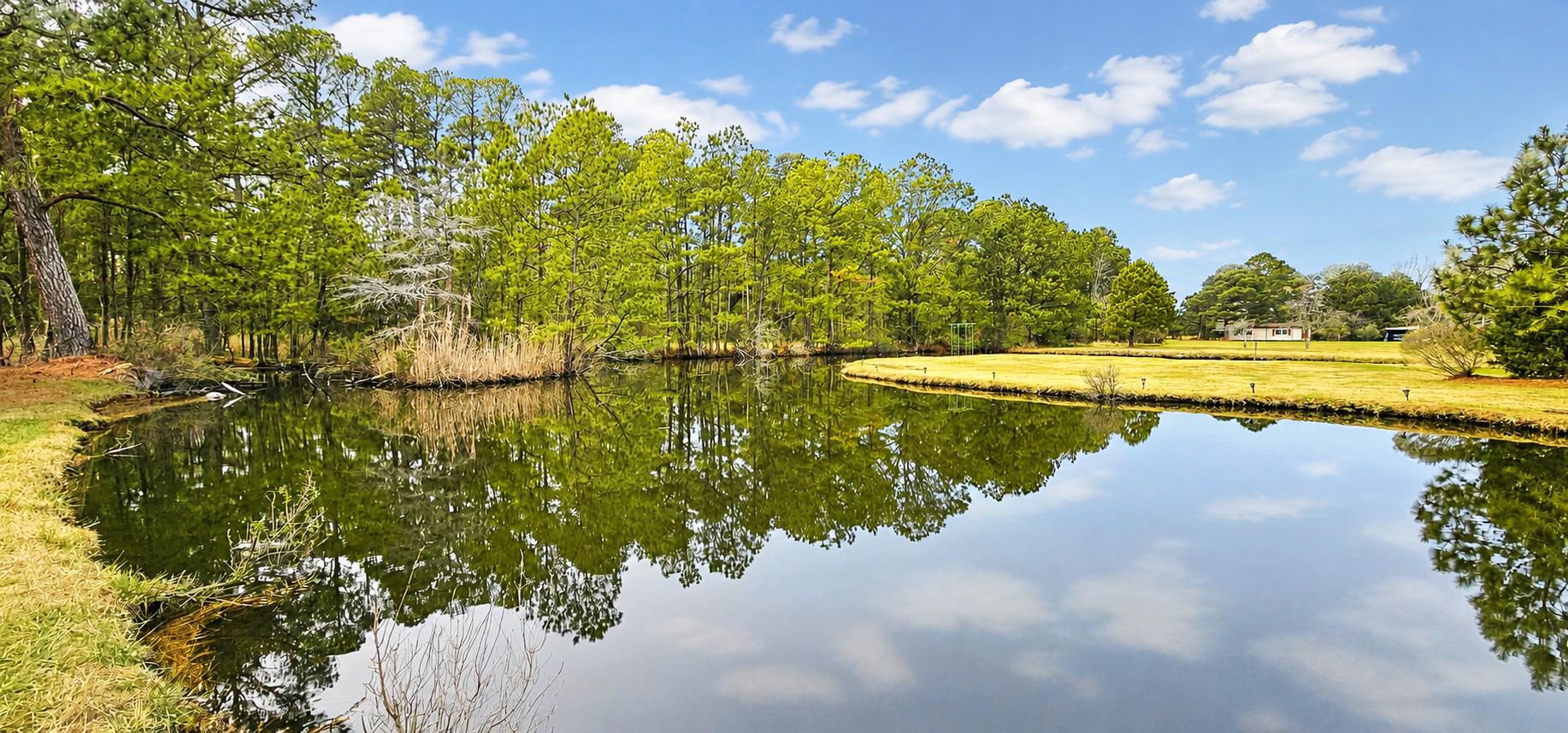 27351 Phoenix Church Road Crisfield, MD 21817 - Photo 15 of 21 Tidal pond