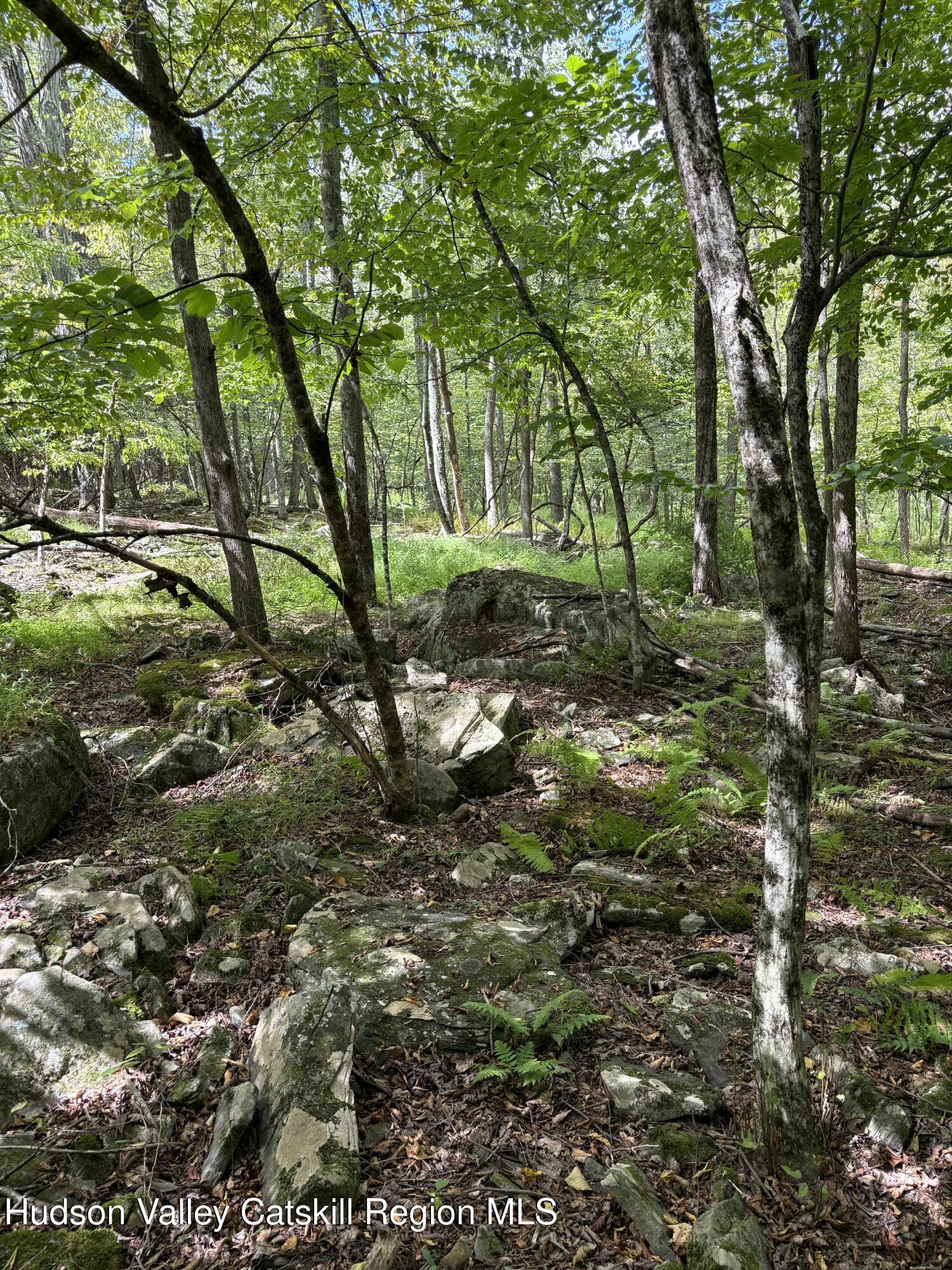 Tbd Oak Ridge Road Ellenville, NY 12428 - Photo 2 of 6 a backyard of a house with lots of green space