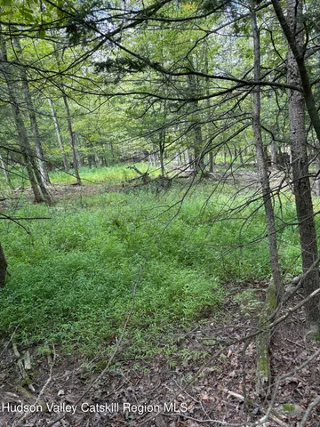 a view of yard with green space