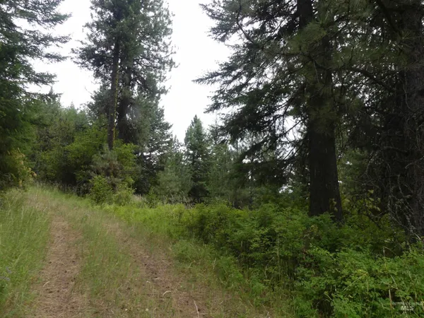 $350,000 | 506 Devils Elbow Drive, Lenore, ID 83541