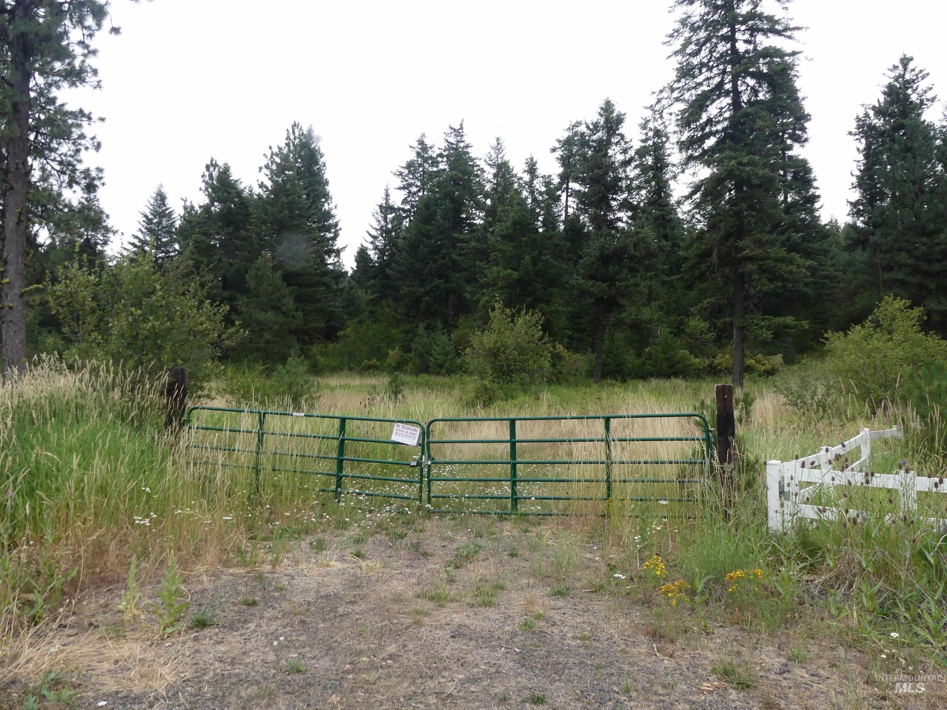 506 Devils Elbow Drive Lenore, ID 83541 - Photo 1 of 46