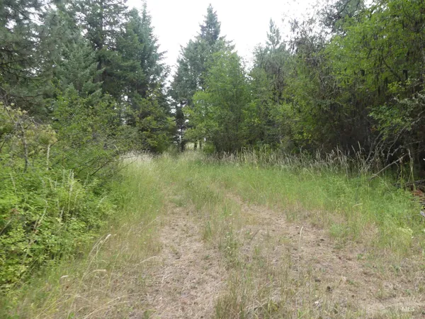 $350,000 | 506 Devils Elbow Drive, Lenore, ID 83541