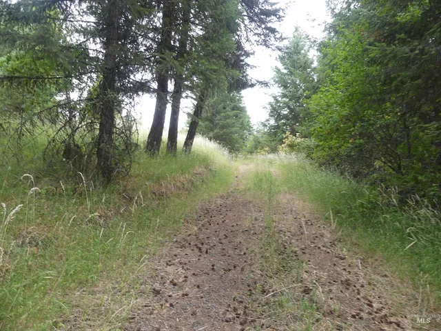 $350,000 | 506 Devils Elbow Drive, Lenore, ID 83541