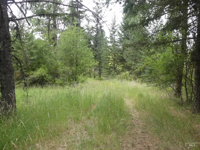 $350,000 | 506 Devils Elbow Drive, Lenore, ID 83541