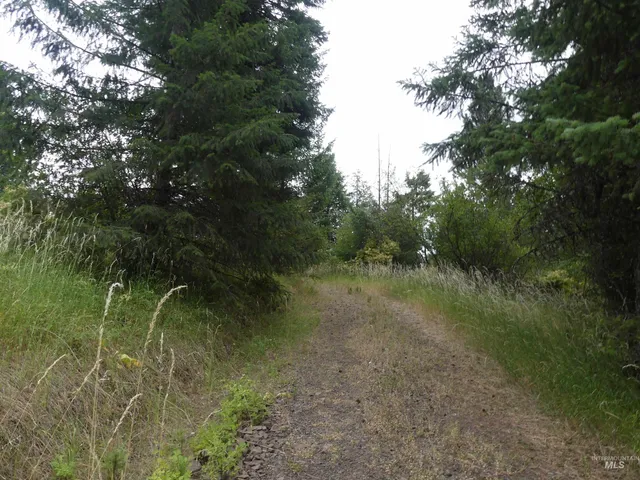 $350,000 | 506 Devils Elbow Drive, Lenore, ID 83541