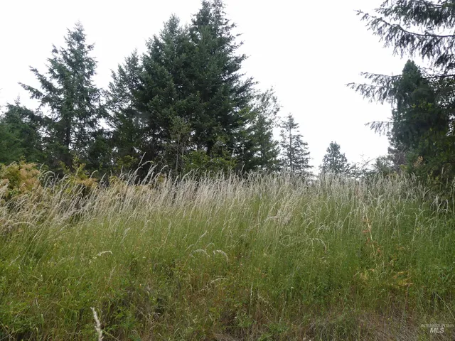 $350,000 | 506 Devils Elbow Drive, Lenore, ID 83541