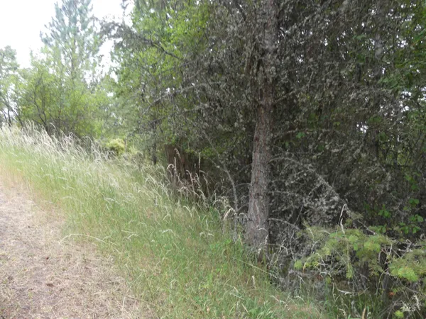 $350,000 | 506 Devils Elbow Drive, Lenore, ID 83541