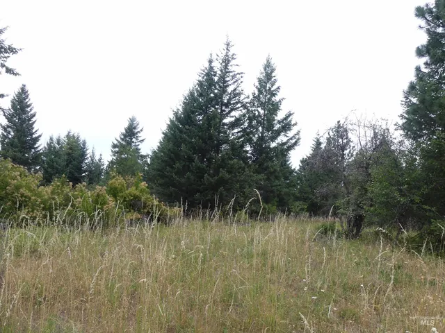 $350,000 | 506 Devils Elbow Drive, Lenore, ID 83541