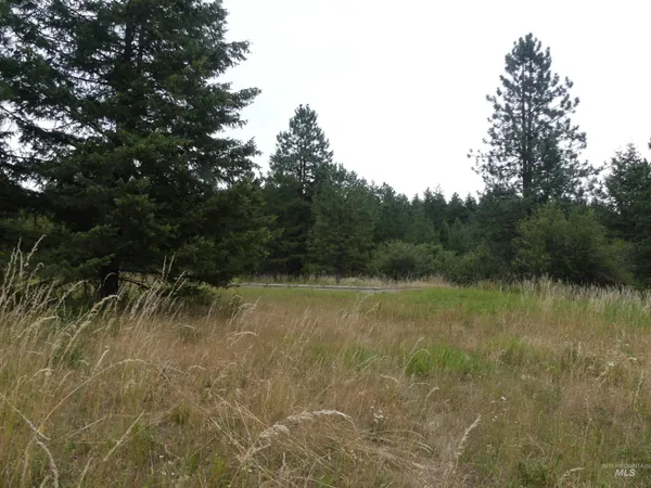 $350,000 | 506 Devils Elbow Drive, Lenore, ID 83541