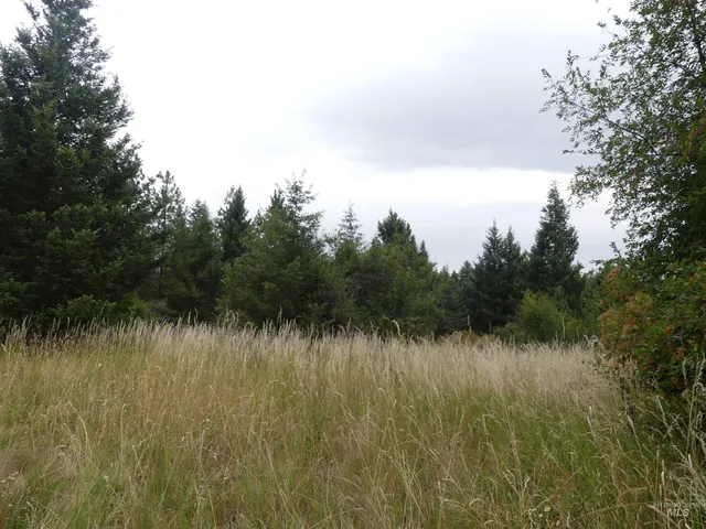 $350,000 | 506 Devils Elbow Drive, Lenore, ID 83541