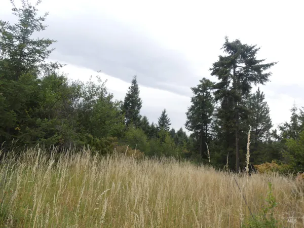 $350,000 | 506 Devils Elbow Drive, Lenore, ID 83541