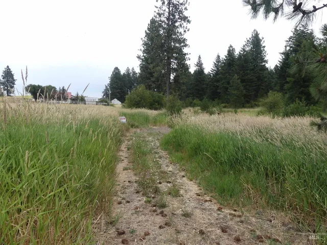 $350,000 | 506 Devils Elbow Drive, Lenore, ID 83541