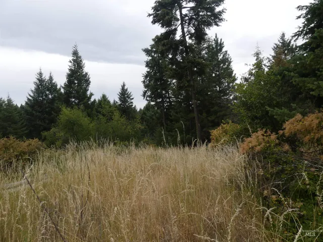 $350,000 | 506 Devils Elbow Drive, Lenore, ID 83541