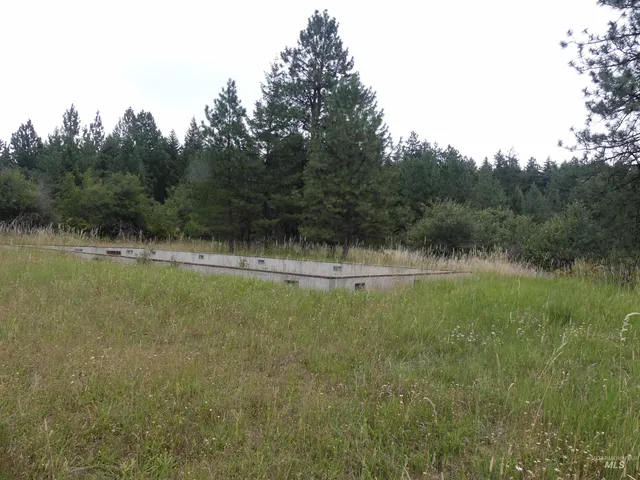 $350,000 | 506 Devils Elbow Drive, Lenore, ID 83541