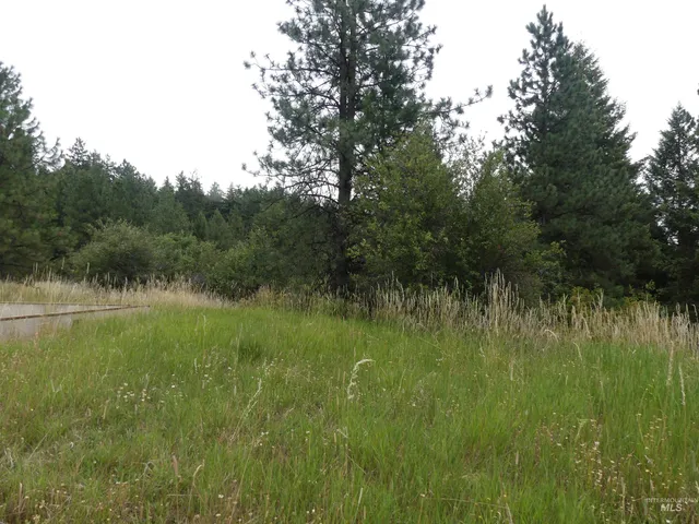 $350,000 | 506 Devils Elbow Drive, Lenore, ID 83541