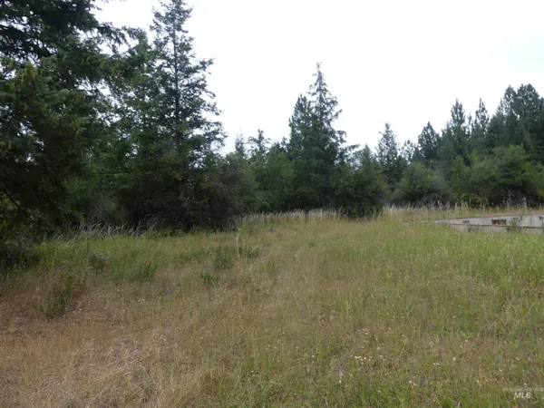 $350,000 | 506 Devils Elbow Drive, Lenore, ID 83541