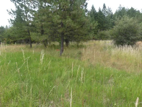 $350,000 | 506 Devils Elbow Drive, Lenore, ID 83541