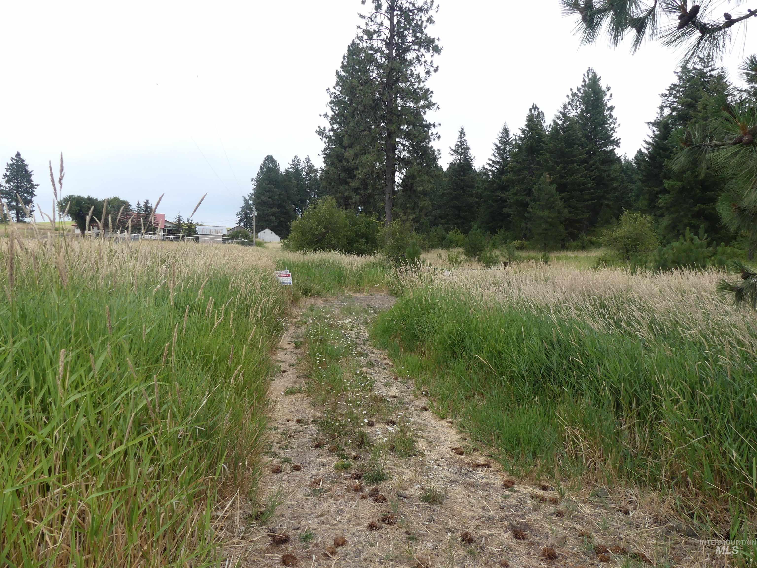 506 Devils Elbow Drive Lenore, ID 83541 - Photo 3 of 46