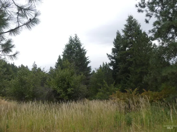$350,000 | 506 Devils Elbow Drive, Lenore, ID 83541
