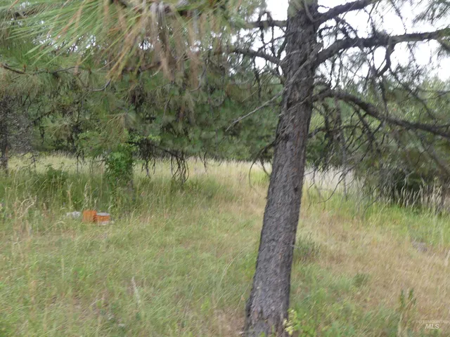 $350,000 | 506 Devils Elbow Drive, Lenore, ID 83541